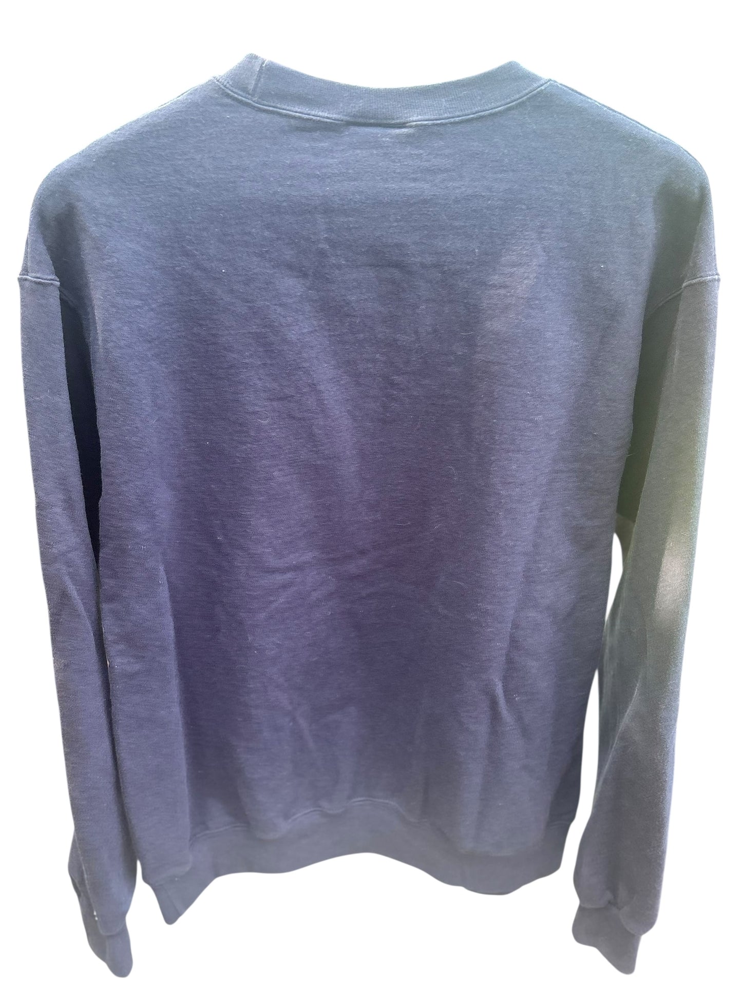 Champion Michigan Wolverines Pullover - Crewneck - Size L